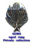 gcma-2.jpg
